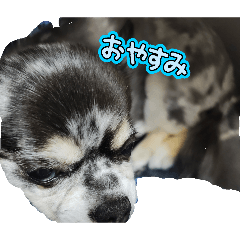 HS_20260506173024