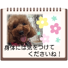 LEON_20260506191946
