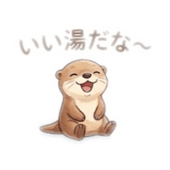 bucyo_20260506192515