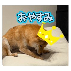 M@S@_20260506192954