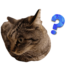 Tabukkey_20260506195056
