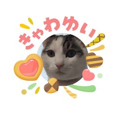suikotameru_biyori_20260506181202