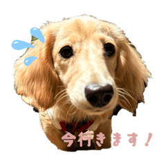 sayano.n_20260506181549
