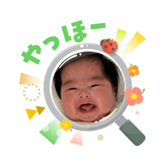 R_20260506181629