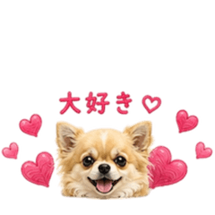 Ran_20260506195906
