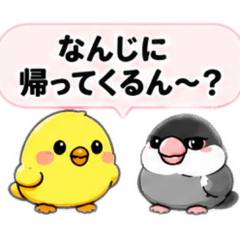 mizuGirl_20260506185823