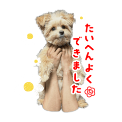 Hetimapuro_20260506185910