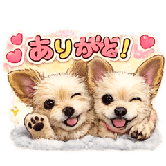 TOMO_20260506185508