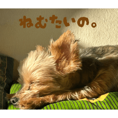 Moe_20260506190608