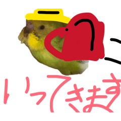 MARUHEI_20260506190216