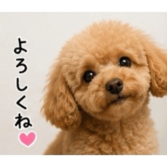 mr_0ln_20260506190522
