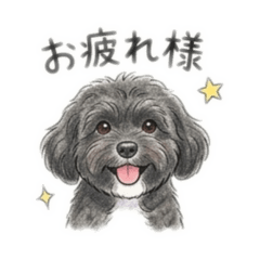 RINA_20260506205934