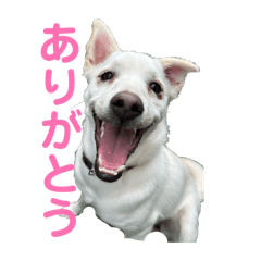 Latte_20260506210350