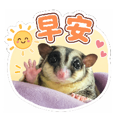 鼯憂鼯慮生活用語