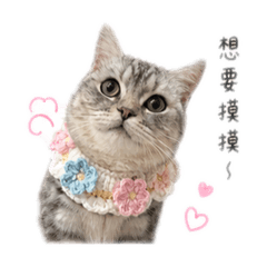 咻咪shumi 2.0