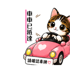 小斑派車專用