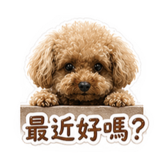 Momo的日常問候