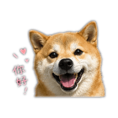 多多生活用語篇2
