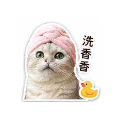啵啵寶寶