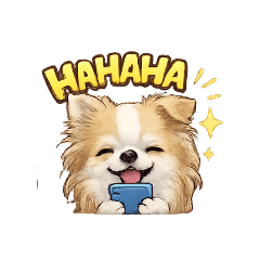 kawaii! chihuahua