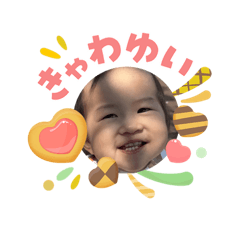 hide_20260506203041