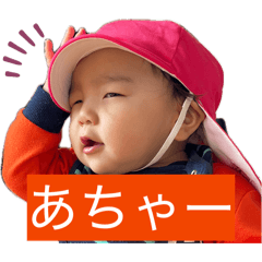 zono_20260506202848