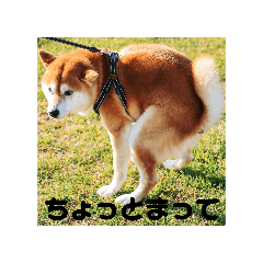 T_20260506203418TR