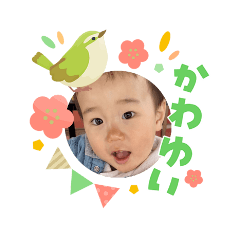mai_20260506203601