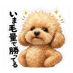 BeginnerCreator_20260506202650