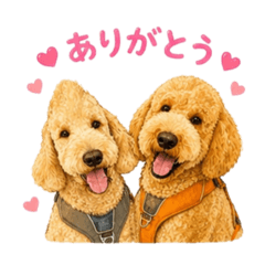 kirimoto-m_20260506213318