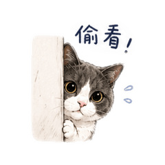 Oni小貓咪的日常-Oniの小劇場