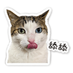 林仔仔賣萌