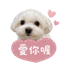 小miu日常用語