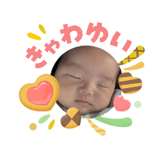mako_20260506210548
