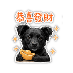 我們的日常 05◉‿◉