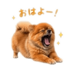 ryo_20260506210836