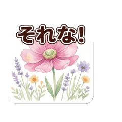ebhaha_20260506210600