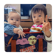 koko_20260506215952
