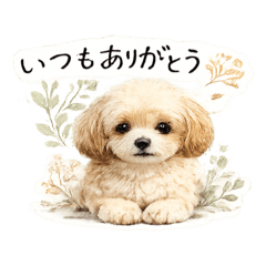 yururin_20260506220136