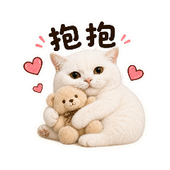 跩萌白咪超有戲！