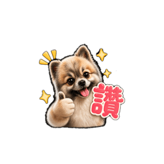 奶油博美狗