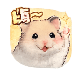 開心黃金鼠