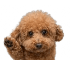 歐貝ㄅㄟˋ