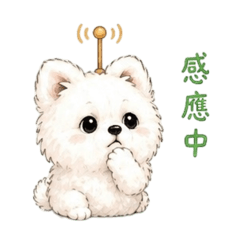 博美·乖乖Q版·1