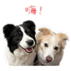 gpt境童
