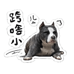 摳摳大姐