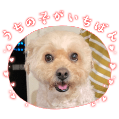 YUKIO_20260506211648