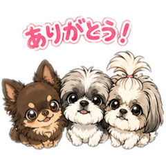 kaori_20260506212240