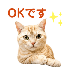 kk_20260506221448