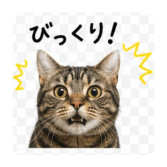 Lily_20260506221411